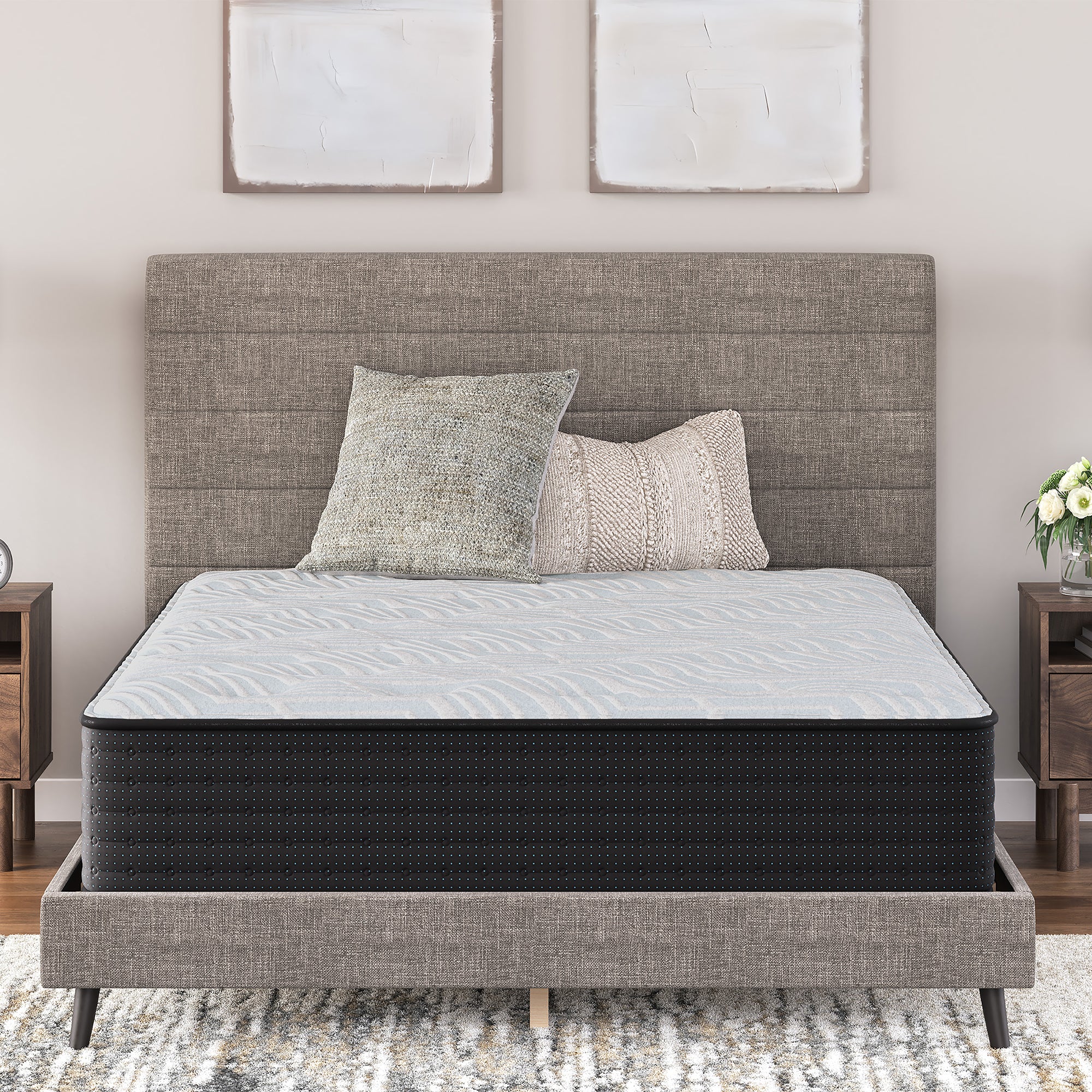 Palisades Plush 14 Inch Queen Mattress